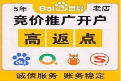 百度竞价代运营成功案例解析